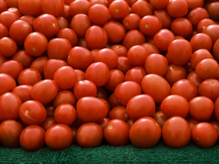 a pile of tomatoes sitting on top of a green surface